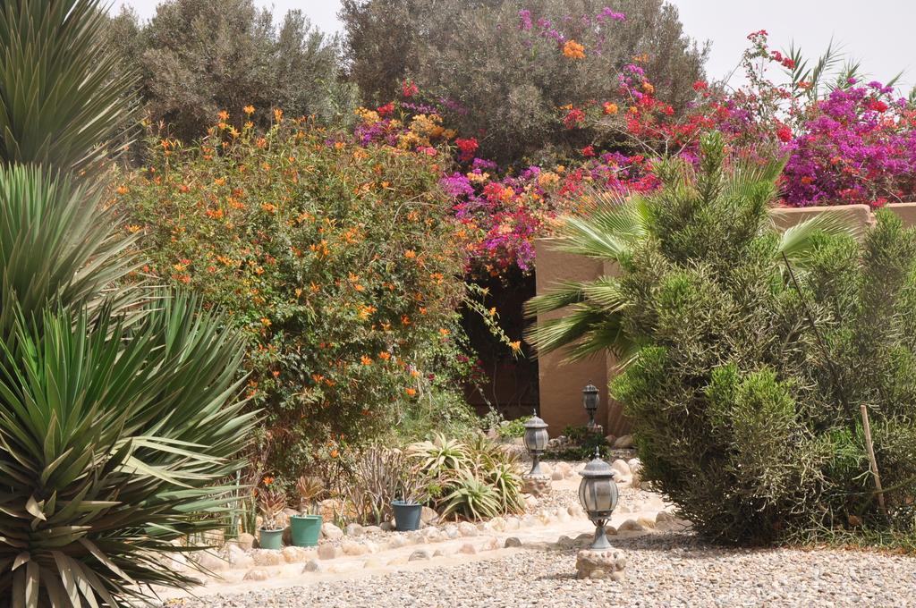 La Palmeraie De Massa Zaouit Massa Exterior foto